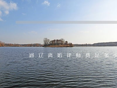 通辽离婚律师费是多少 通辽离婚律师费是多少