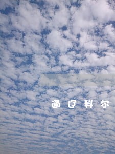 通辽科尔沁法律服务 通辽科尔沁法律服务