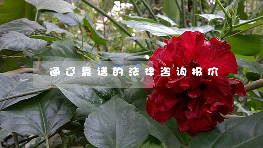 通辽靠谱的法律咨询报价 通辽靠谱的法律咨询报价