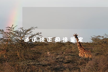 通达法正司法鉴定