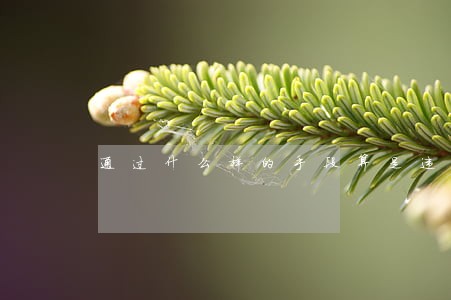 通过什么样的手段算是违法 通过什么样的手段算是违法