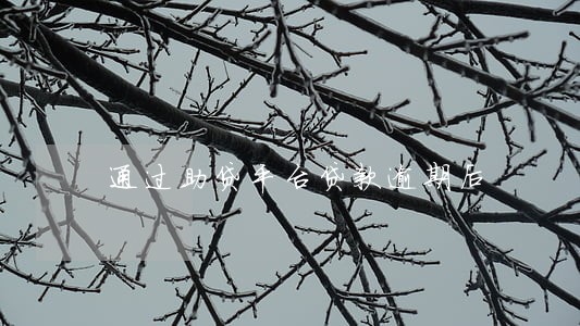 通过助贷平台贷款逾期后 通过助贷平台贷款逾期后