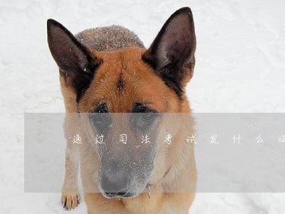 通过司法考试发什么证 通过司法考试发什么证