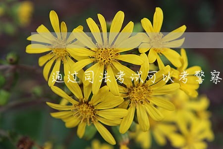 通过司法考试可以考警察吗 通过司法考试可以考警察吗