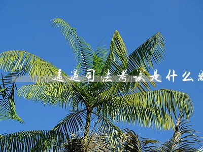 通过司法考试是什么感觉 通过司法考试是什么感觉