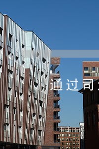 通过司法考试有什么用