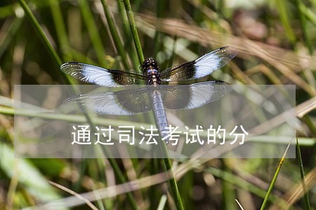 通过司法考试的分 通过司法考试的分