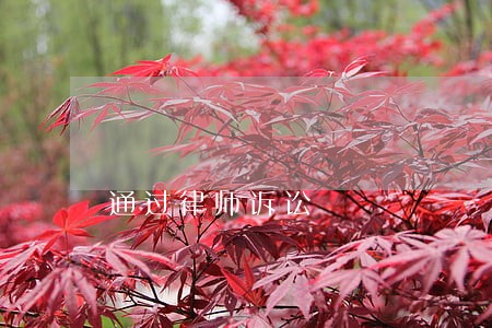 通过律师诉讼 通过律师诉讼