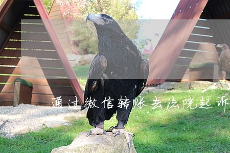 通过微信转账去法院起诉 通过微信转账去法院起诉