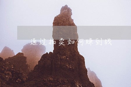 通过拍卖如何赚到钱 通过拍卖如何赚到钱