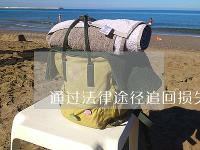 通过法律途径追回损失 通过法律途径追回损失