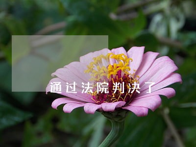 通过法院判决了 通过法院判决了
