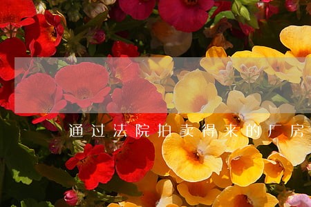 通过法院拍卖得来的厂房土地 通过法院拍卖得来的厂房土地