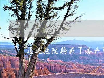 通过法院购买了房产可以悔拍吗 通过法院购买了房产可以悔拍吗