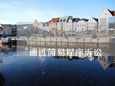 通过简易程序诉讼 通过简易程序诉讼