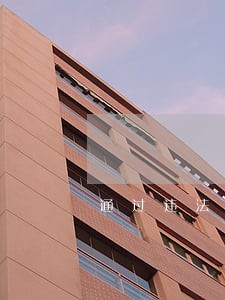 通过违法犯罪活动获取经济利益 通过违法犯罪活动获取经济利益