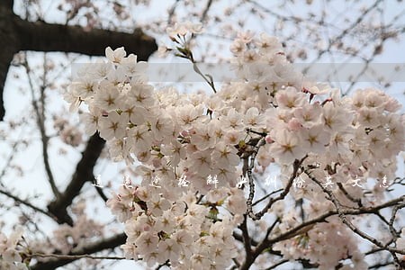 通过途径解决纠纷英文怎么写 通过途径解决纠纷英文怎么写
