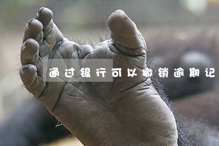 通过银行可以撤销逾期记录 通过银行可以撤销逾期记录