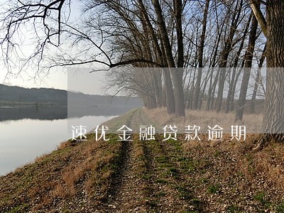 速优金融贷款逾期 速优金融贷款逾期