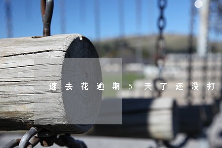 速去花逾期5天了还没打电话 速去花逾期5天了还没打电话