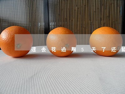 速去花逾期5天了还能打电话吗 速去花逾期5天了还能打电话吗