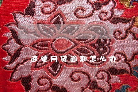 速德网贷逾期怎么办 速德网贷逾期怎么办