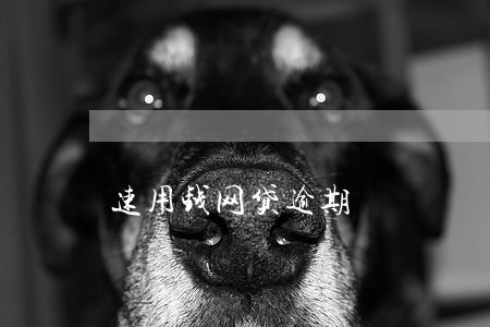 速用钱网贷逾期 速用钱网贷逾期