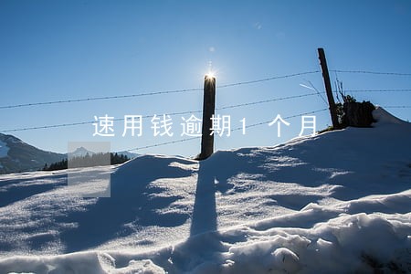 速用钱逾期1个月