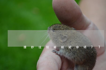 速秒钱包逾期能申请77钱包么 速秒钱包逾期能申请77钱包么