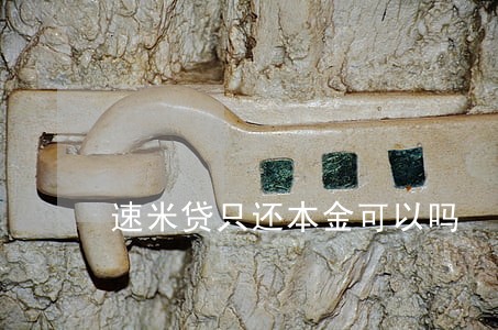 速米贷只还本金可以吗 速米贷只还本金可以吗