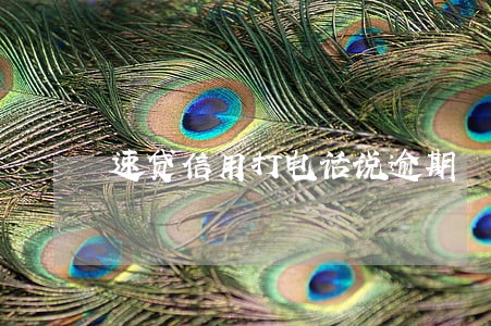 速贷信用打电话说逾期 速贷信用打电话说逾期
