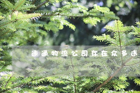 速通物流公司存在众多违法行为