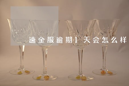 速金服逾期1天会怎么样 速金服逾期1天会怎么样