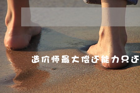 造价师最大偿还能力只还本金吗 造价师最大偿还能力只还本金吗
