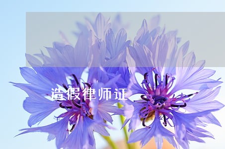 造假律师证 造假律师证