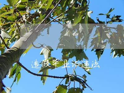 造假毕业证违法 造假毕业证违法