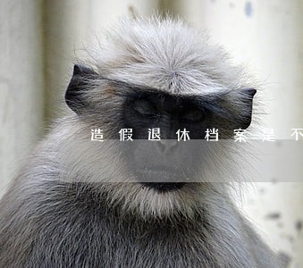 造假退休档案是不是涉嫌违法 造假退休档案是不是涉嫌违法