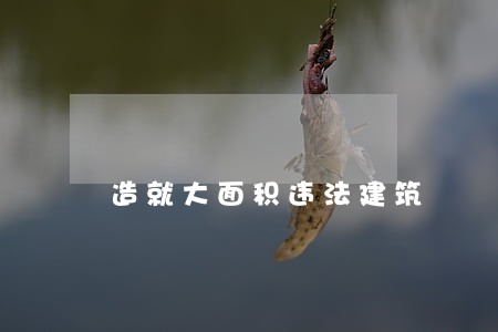 造就大面积违法建筑 造就大面积违法建筑
