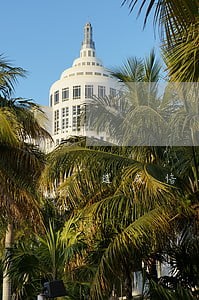 造成信用卡逾期怎样获得赔偿 造成信用卡逾期怎样获得赔偿