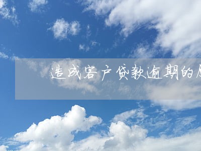 造成客户贷款逾期的原因 造成客户贷款逾期的原因
