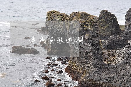 造成贷款逾期