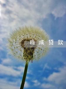 造成贷款逾期的主要因素 造成贷款逾期的主要因素