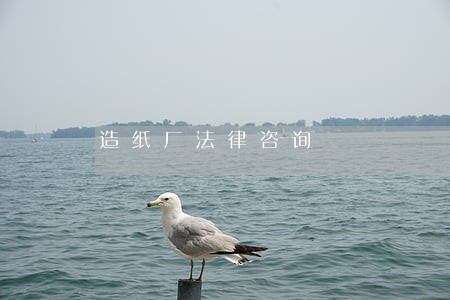 造纸厂法律咨询