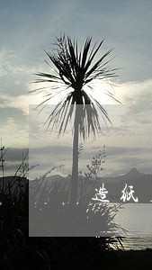 造纸厂适用法律法规 造纸厂适用法律法规