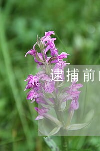 逮捕前的贷款逾期 逮捕前的贷款逾期