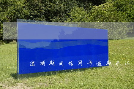 逮捕期间信用卡逾期未还怎么办 逮捕期间信用卡逾期未还怎么办