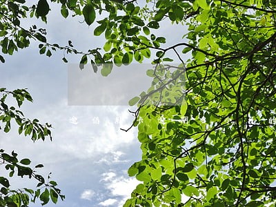 逾信用卡逾期3个月的催收短信