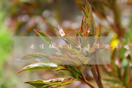 逾情期间信用卡没还算逾期吗 逾情期间信用卡没还算逾期吗