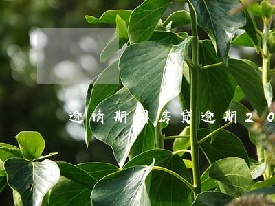 逾情期间房贷逾期20天 逾情期间房贷逾期20天