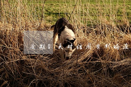 逾期0天对信用有影响没 逾期0天对信用有影响没